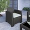 Merrick Lane Malmok Outdoor Furniture Resin Chair Faux Rattan Wicker Pattern Patio Chair With All-Weather Cushion